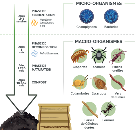 Schéma compost